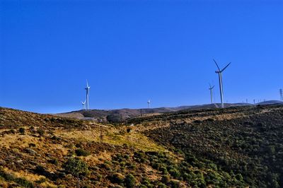 Wind turbines on field against clear blue sky