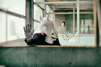 Person wearing horse mask seen through window