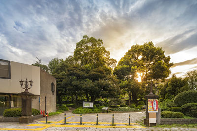 Trees growing in cemetery against sky