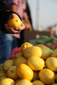 Person hand holding lemon at market