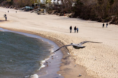 People walking on beach