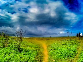 Scenic view of field against sky