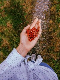 Handful of the wild strawberry