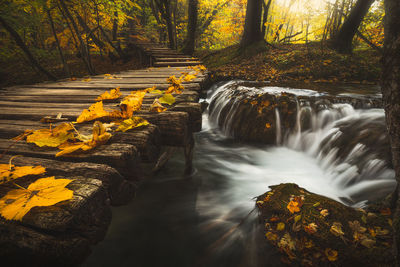 Colorful autumn season in plitvice lakes national park from croatia.