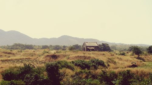 Scenic view of field against clear sky