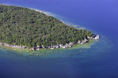 High angle view of ducks in sea