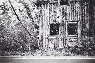 Old building with tree in background