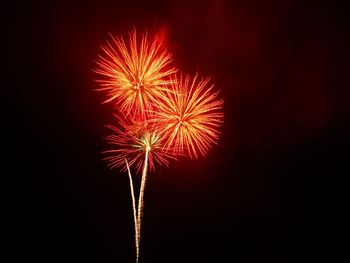 Low angle view of firework display against sky