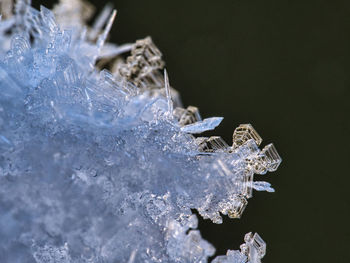 Close-up of ice