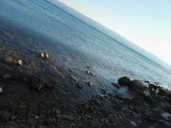 Scenic view of sea against clear sky