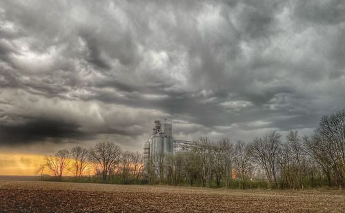 Trees on field against storm clouds