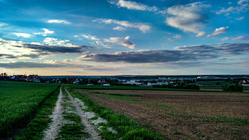 Scenic view of agricultural field against sky during sunset