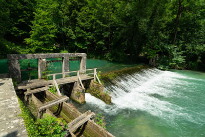 Scenic view of river amidst trees in forest