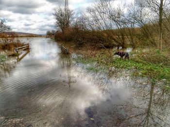 Scenic view of lake against sky