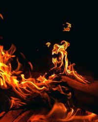 Close-up of fire in the dark