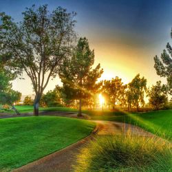 Sunset over grassy field