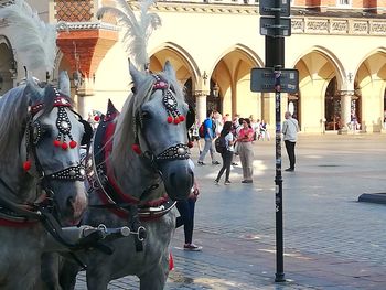 View of horse cart on street