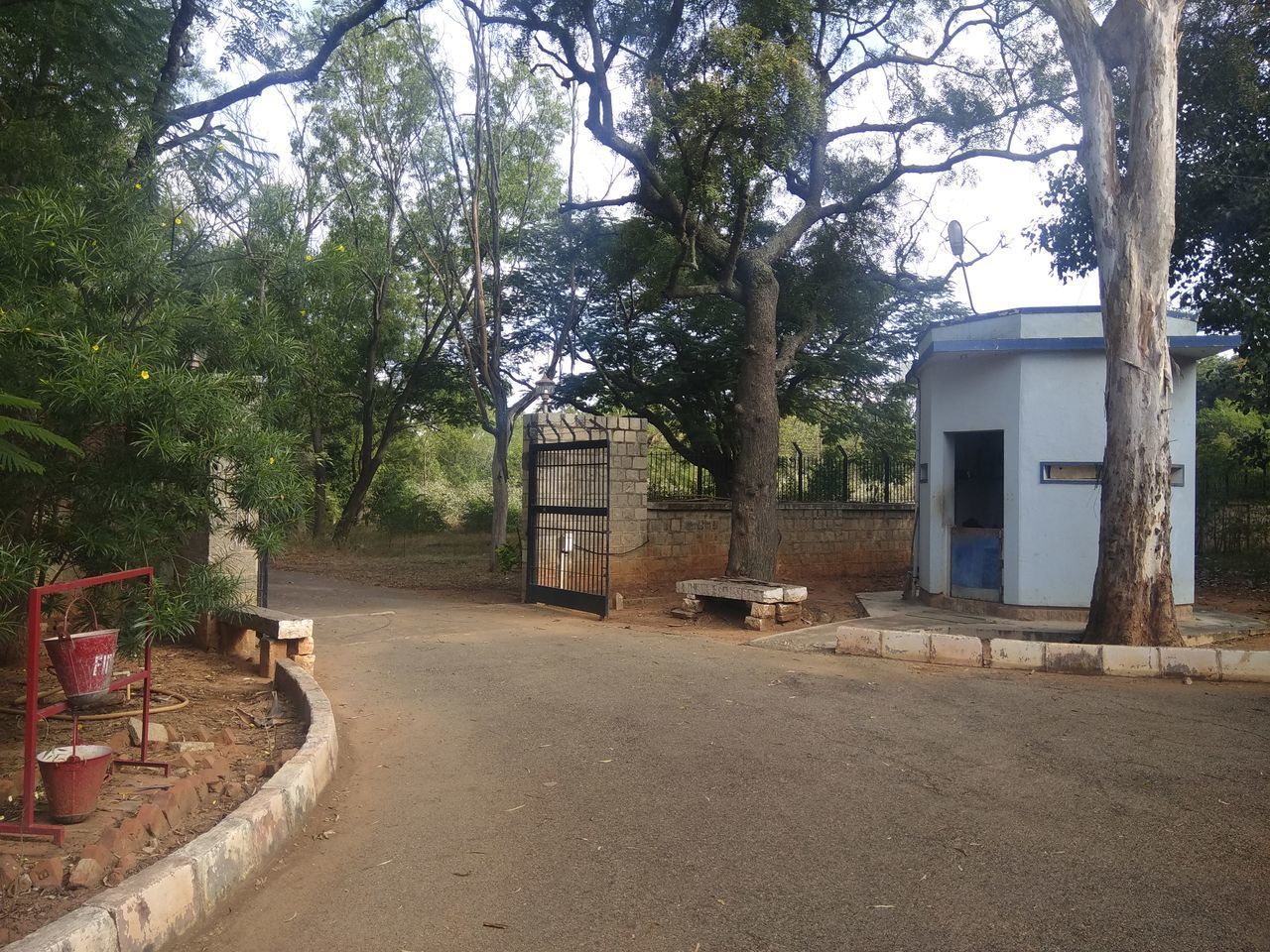 EMPTY ROAD BY TREES AND BUILDING