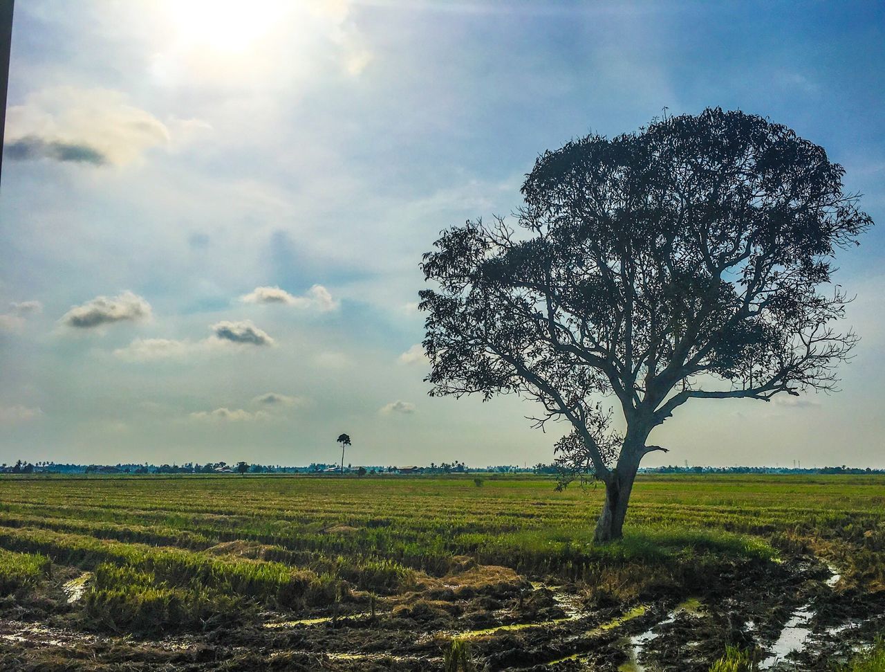 Kampung Sungai Haji Durani