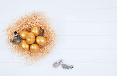 High angle view of eggs in nest on white background