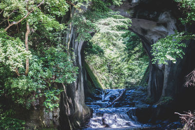 Scenic view of waterfall in forest