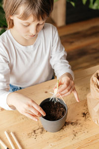 A cute little girl is planting a sprout of garlic in a flower pot. gardening as a hobby for kids. 