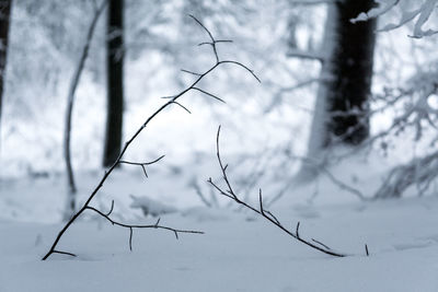 Close-up of snow during winter