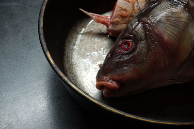 High angle view of fish on table