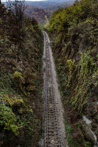 Railroad tracks amidst trees in forest