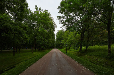 Road amidst trees against sky