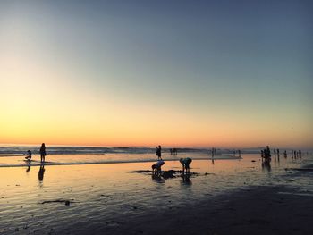 Silhouette people on beach against clear sky during sunset