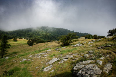 Scenic view of landscape against sky