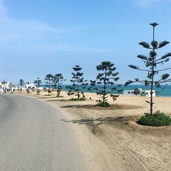 Road by trees against clear blue sky