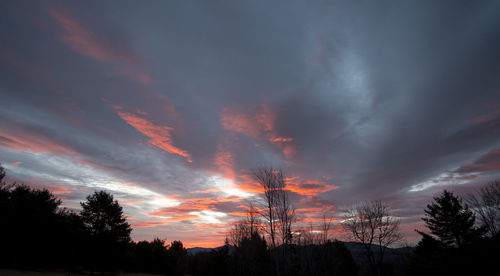 Silhouette of trees against dramatic sky