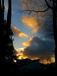 Silhouette trees against sky during sunset