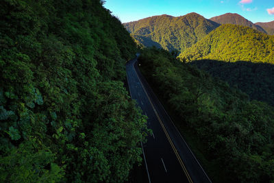 High angle view of road amidst trees