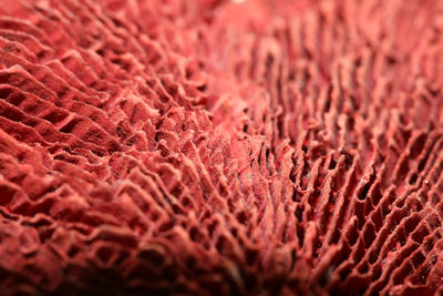 Full frame shot of red rug