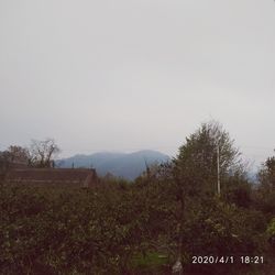 Scenic view of field against clear sky