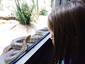 Girl looking at snake through glass