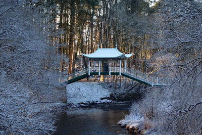 Japanese bridge in the snow