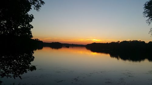 Silhouette of trees at sunset