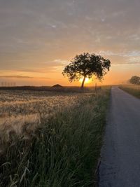 Scenic view of landscape against sky during sunset