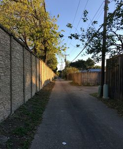 Footpath amidst trees against sky