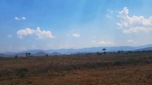 Scenic view of field against sky