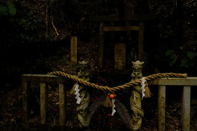 Old wooden gate against trees in forest