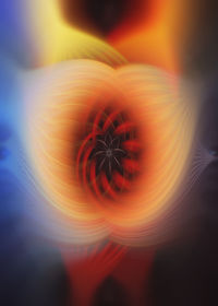 Digital composite image of flower