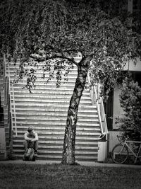 Full length of woman standing on tree trunk