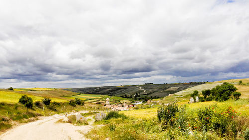 Scenic view of vineyard against cloudy sky