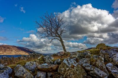 Scenic view of landscape against cloudy sky