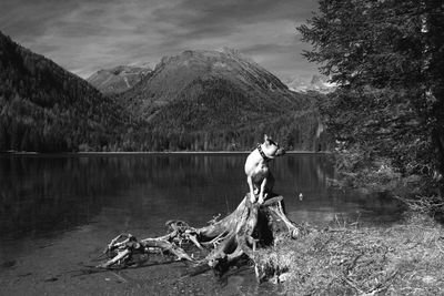 Woman with umbrella on lake against sky